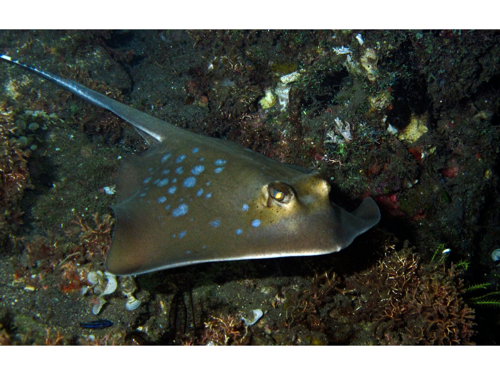 IMG_6308 (1) IMG_6308 (1)